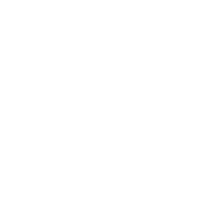 logo negativo pp